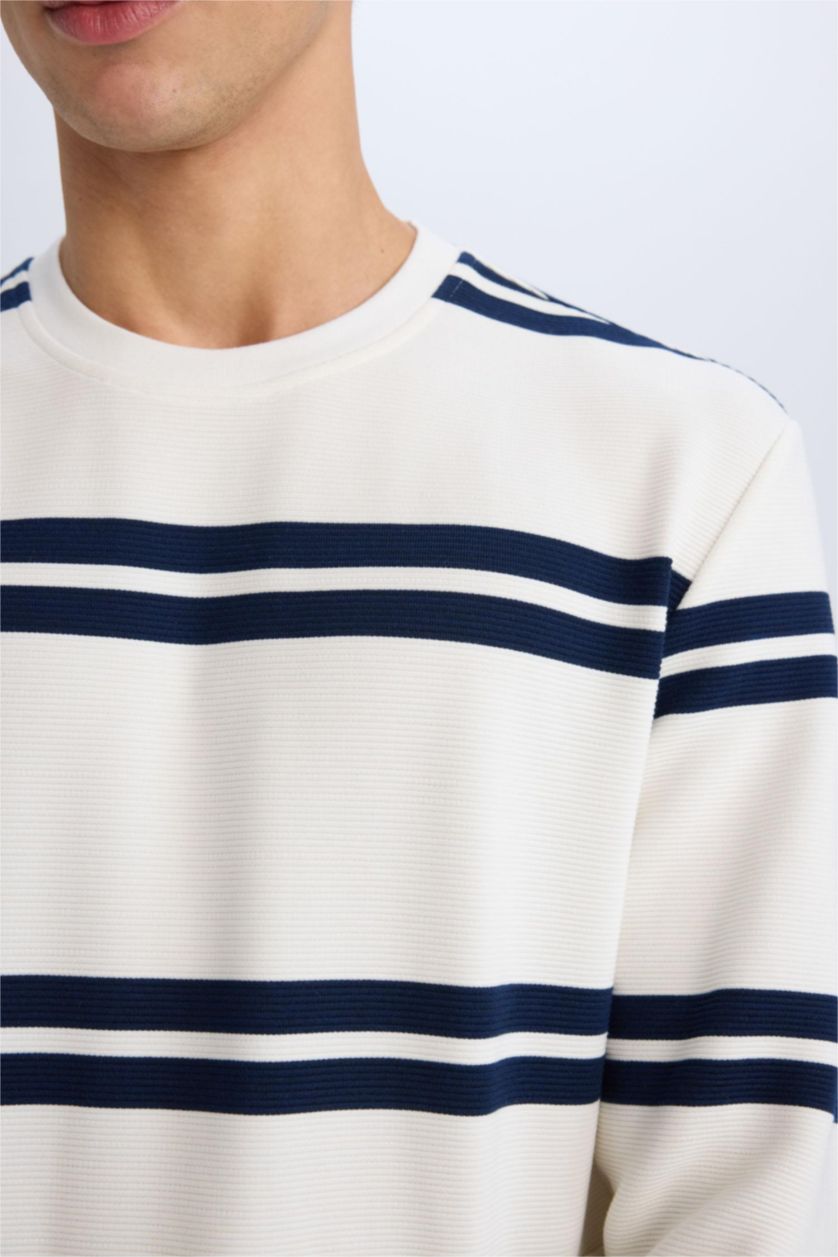 Erkek Kırık Beyaz Regular Fit Bisiklet Yaka Dokulu Sweatshirt