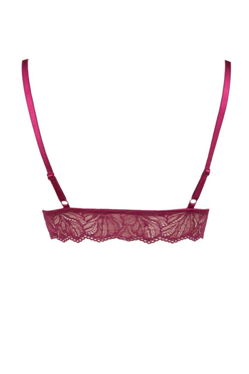 WOMAN Dark Purple Fall in Love Padded Lace Bralet