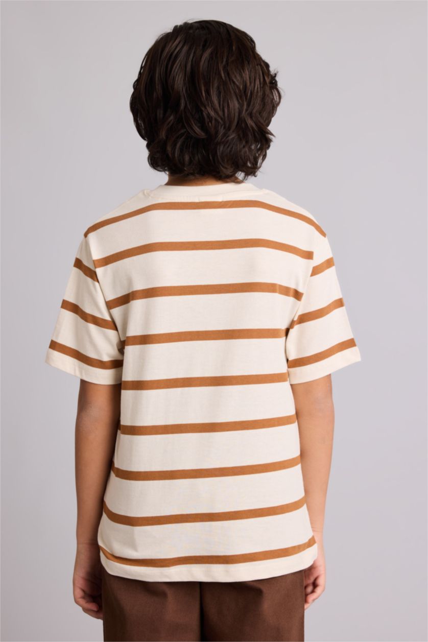 Boys & Teens Camel Regular Fit Striped Short Sleeve T-Shirt