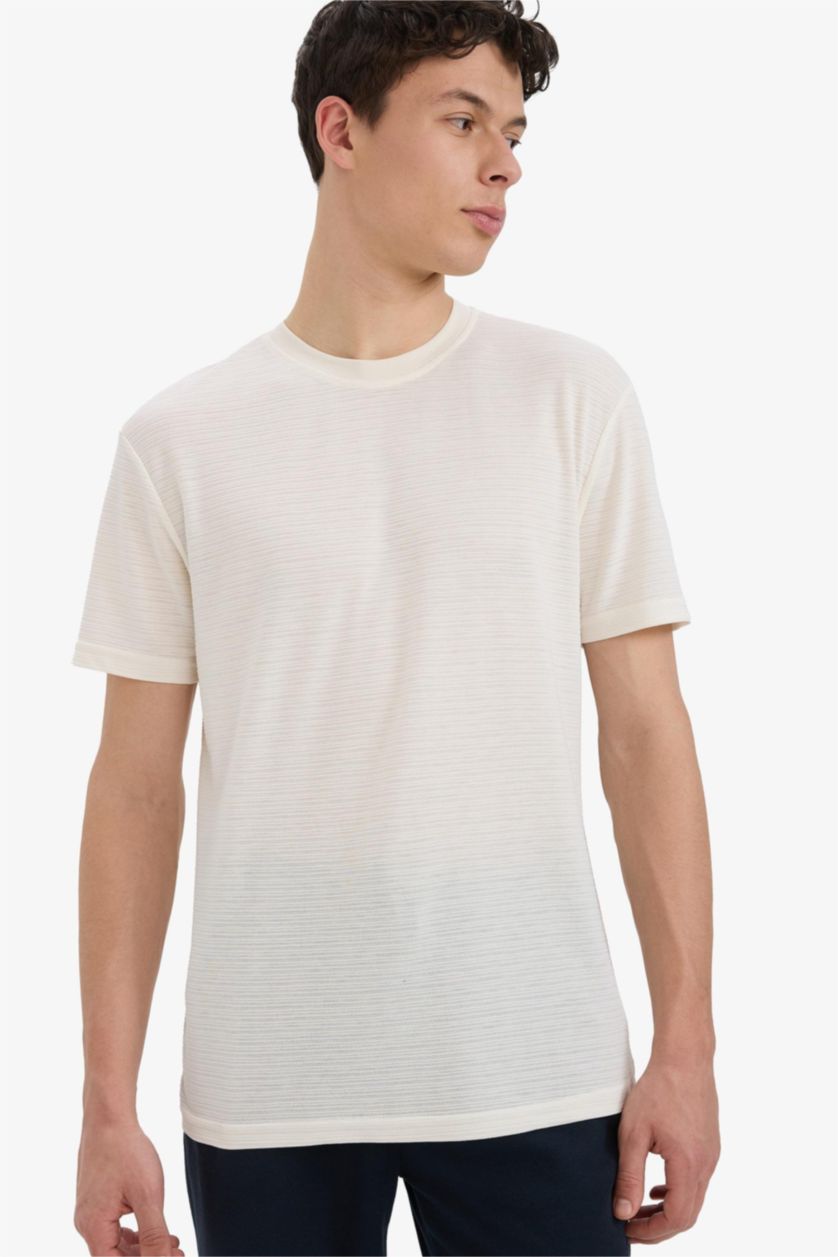 Erkek Kırık Beyaz Regular Fit Bisiklet Yaka Kısa Kollu Dokulu Jakarlı Tişört
