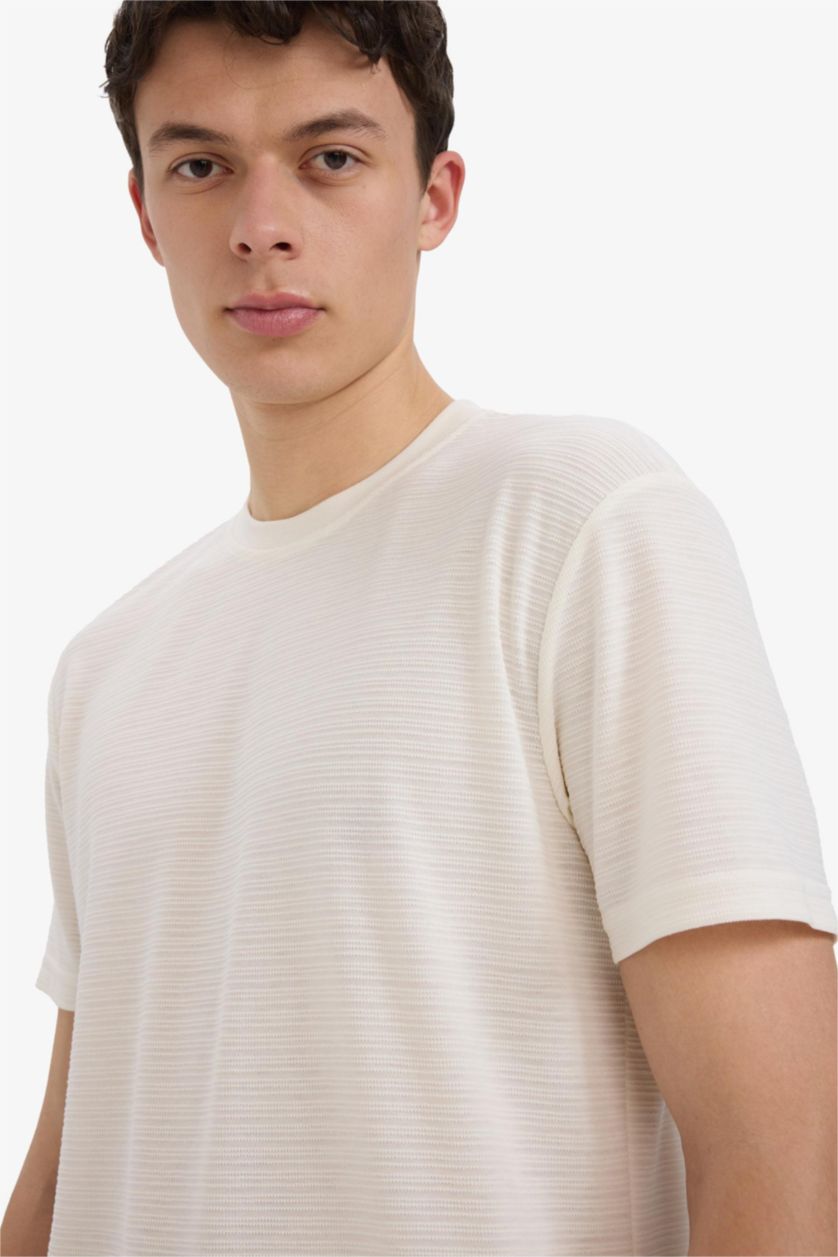 Erkek Kırık Beyaz Regular Fit Bisiklet Yaka Kısa Kollu Dokulu Jakarlı Tişört