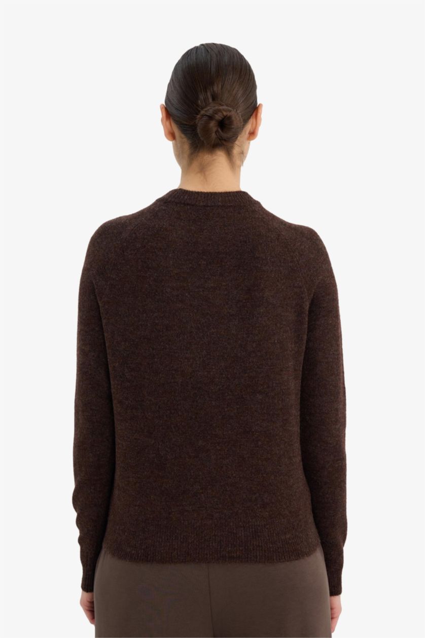 نساء بني بلوز صوف قصة عادية بياخة مستديرة