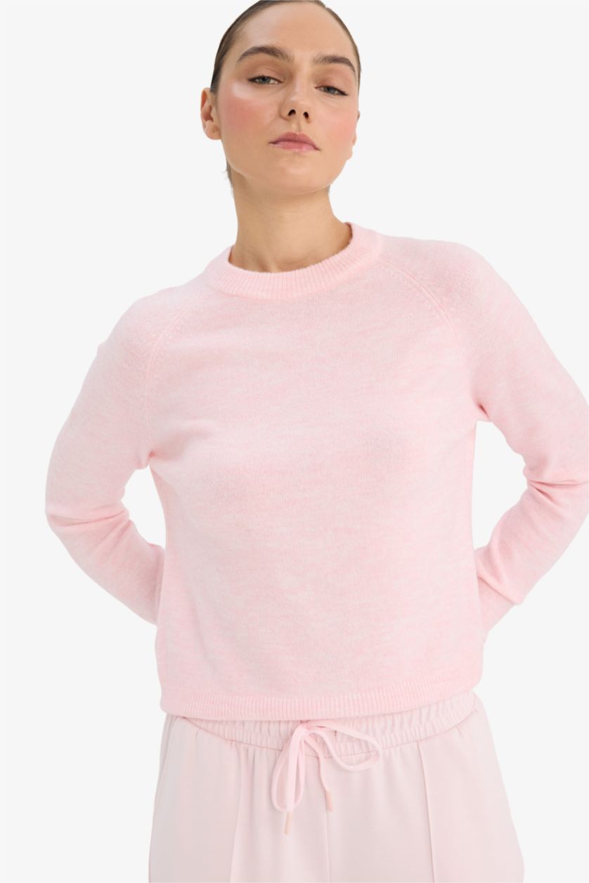 Woman Pink Regular Fit Crew Neck Pullover