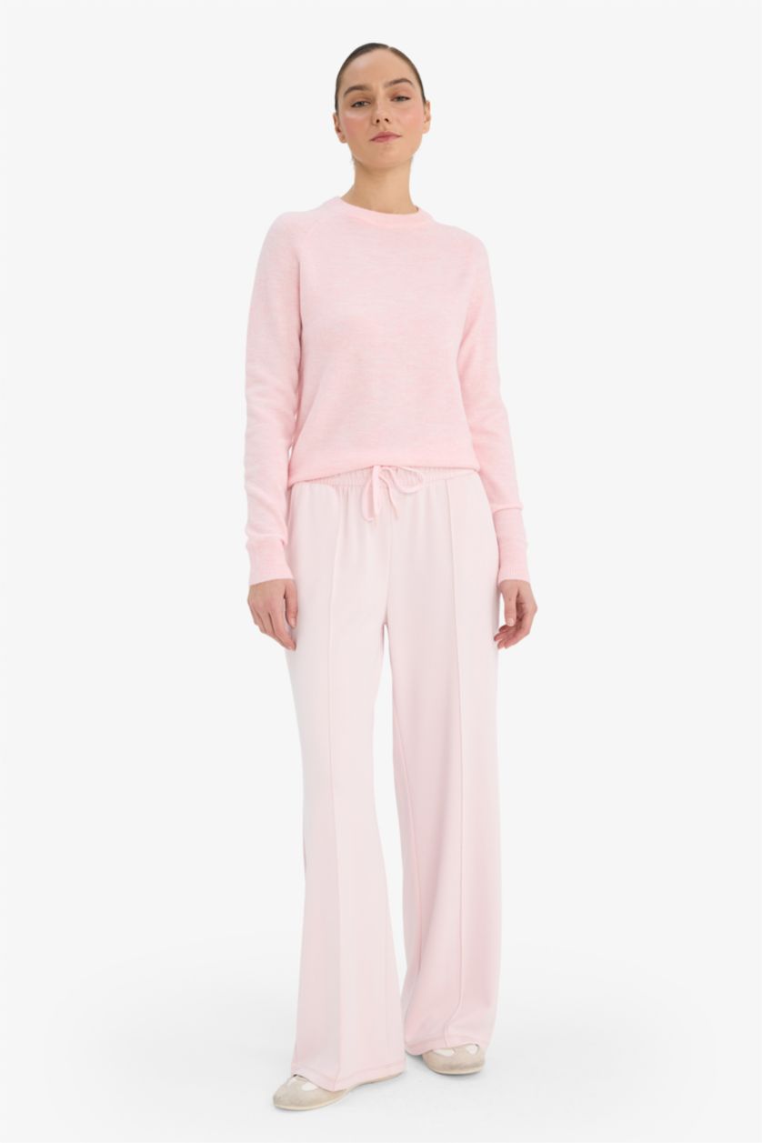 Woman Pink Regular Fit Crew Neck Pullover