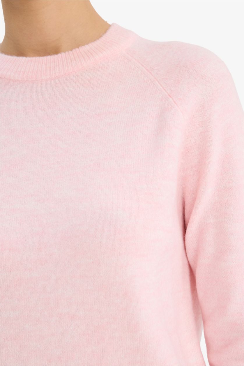 Woman Pink Regular Fit Crew Neck Pullover