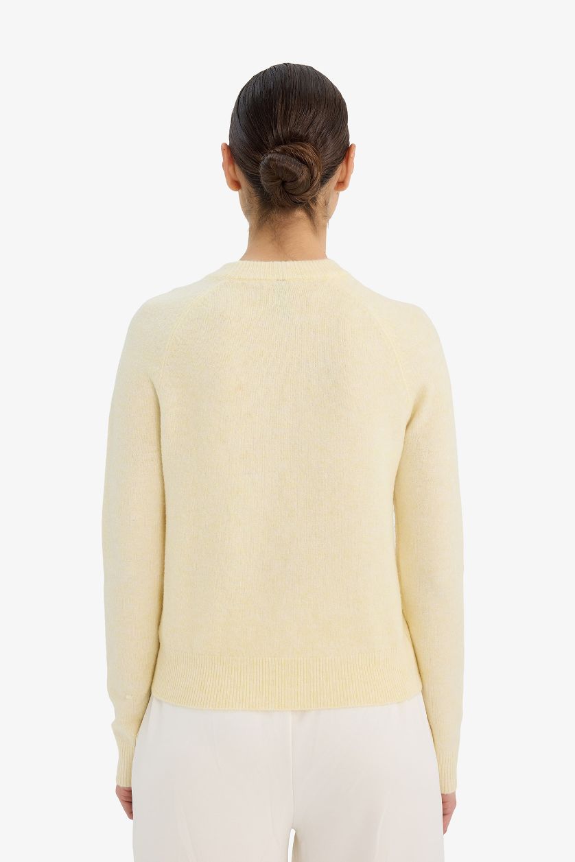Woman Light Yellow Regular Fit Crew Neck Pullover
