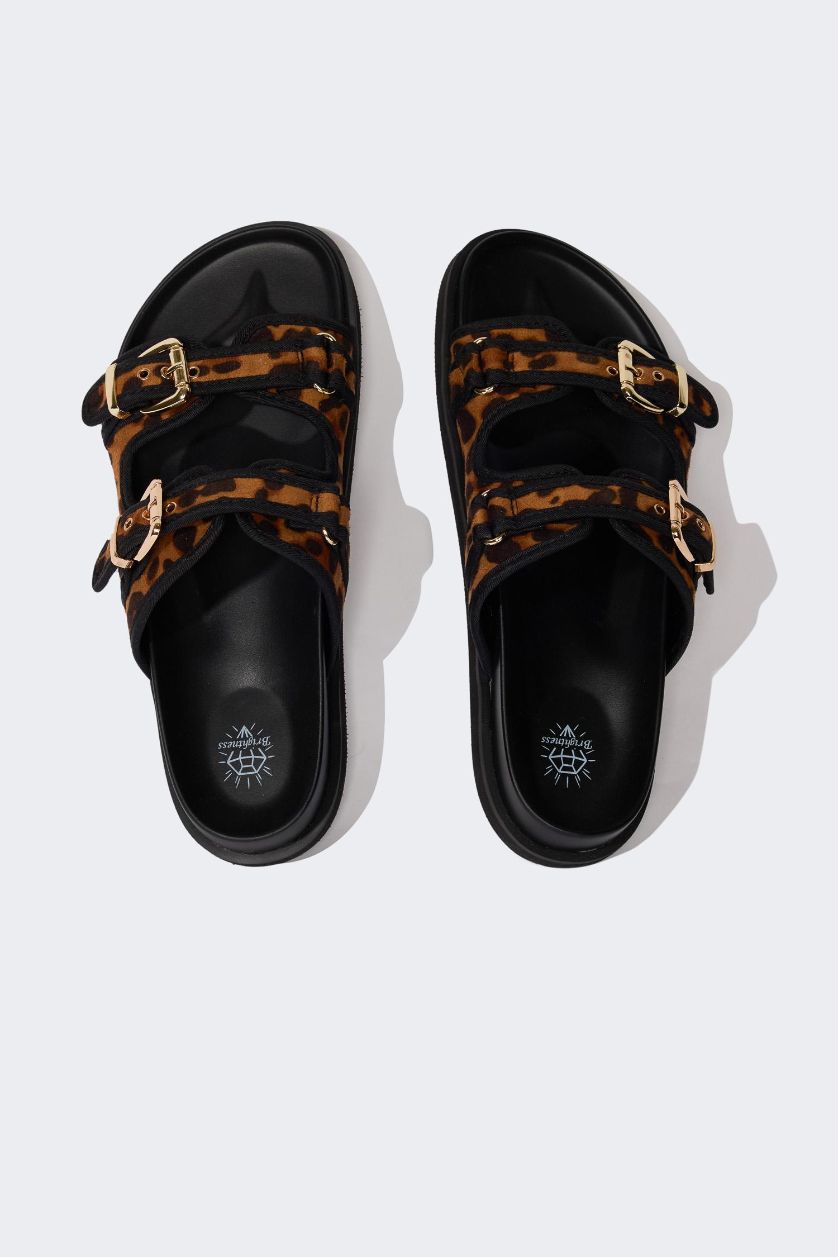 WOMAN DOTTY - multicolor leopard clip Woman Leopard Patterned Double Band Flat Sole Slippers