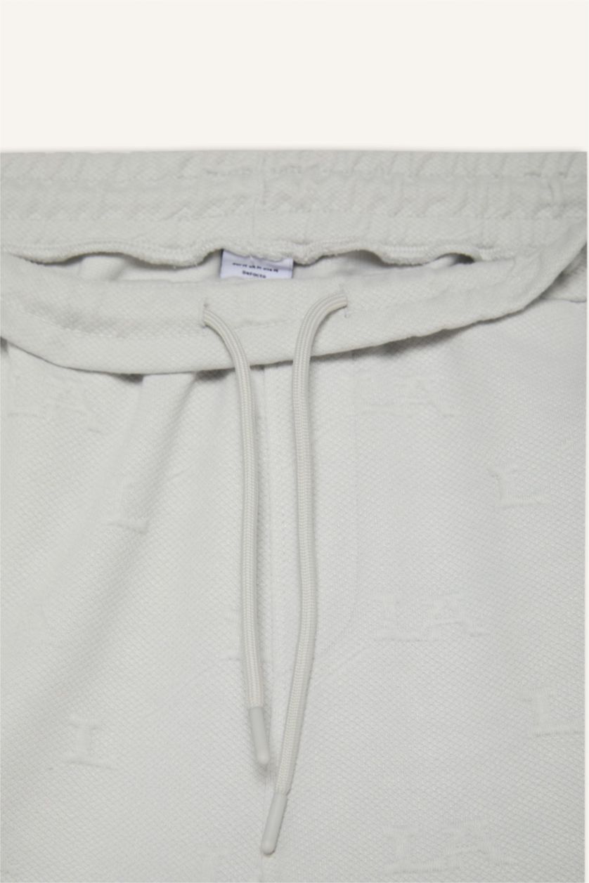 Erkek Açık Gri Standart Fit Sporcu Kısa Paça Şort