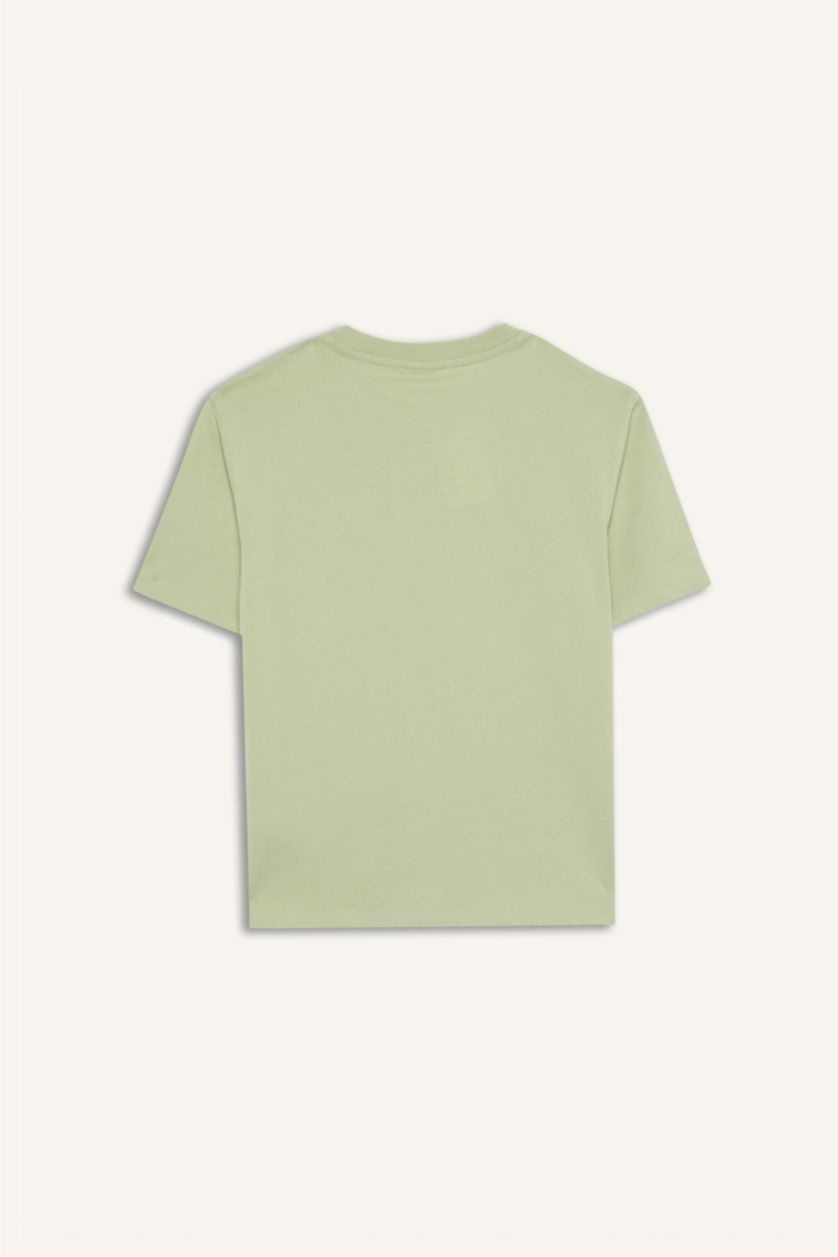 Erkek Çocuk - Genç Erkek Açık Yeşil Bisiklet Yaka Anime Baskılı Kısa Kollu Tişört Erkek Çocuk