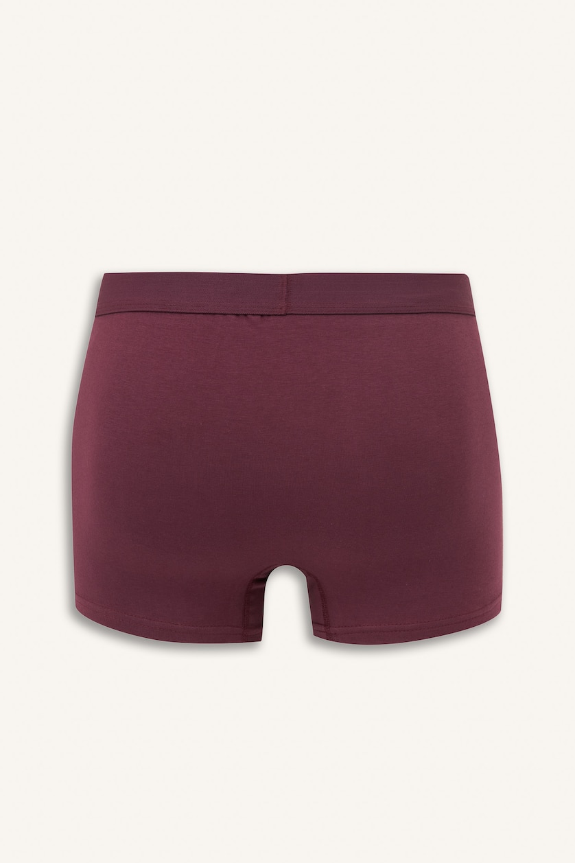 Men Purple Regular Fit 3 piece