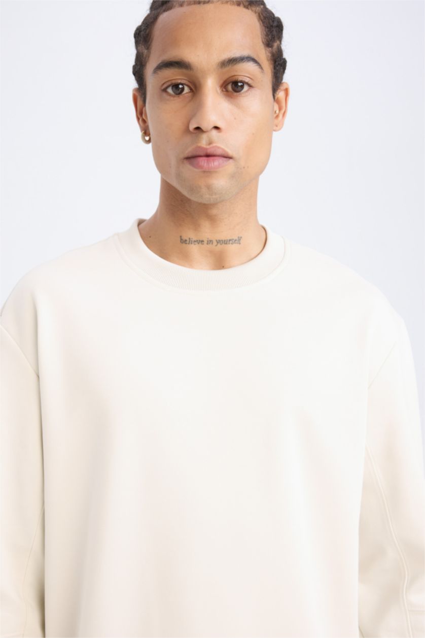Erkek Taş Standart Fıt Sweatshirt