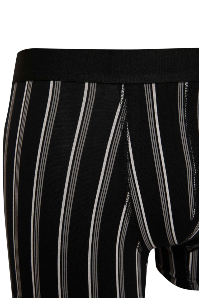 Erkek Siyah Regular Fit 3'lü Boxer