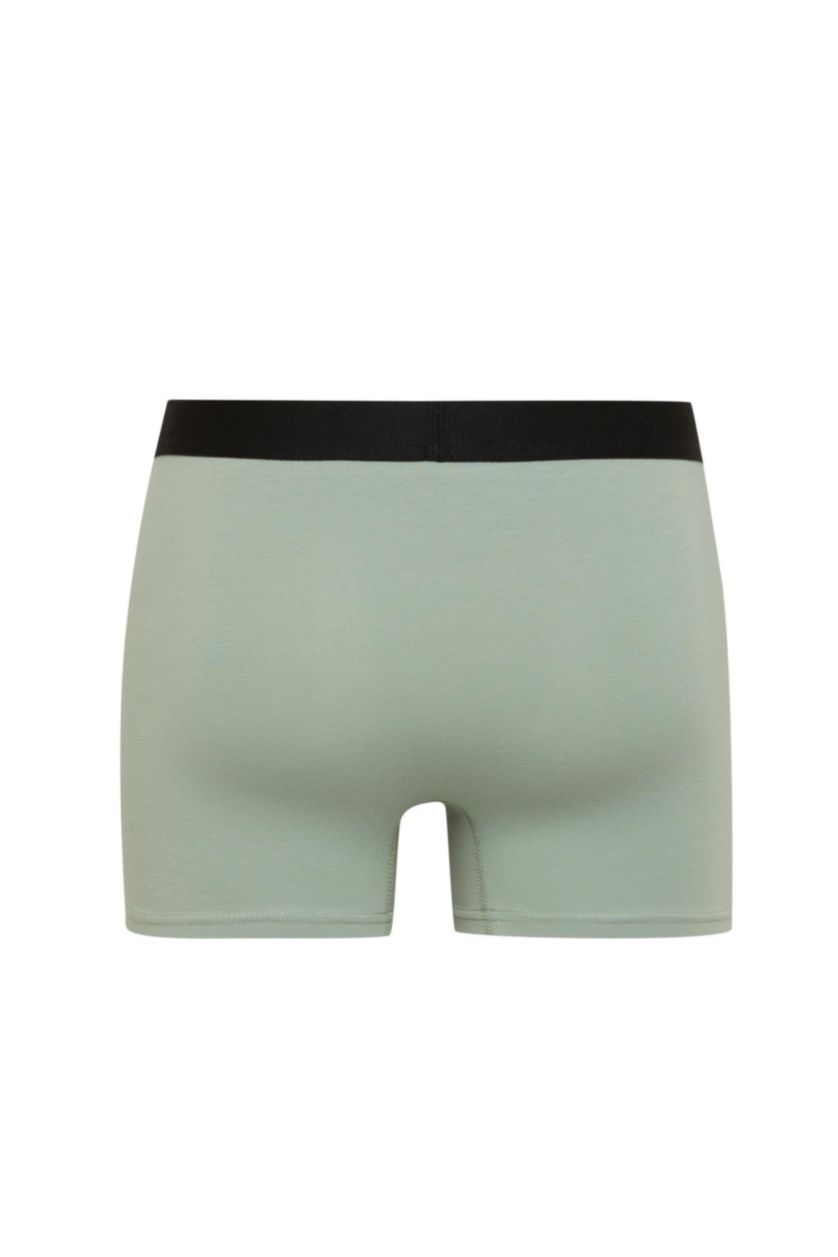 Erkek Mat Yeşil Regular Fıt 3'lü Boxer