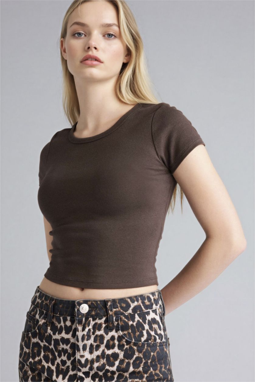 Kadın Kahve Fitted Bisiklet Yaka Ribana Kısa Kollu Tişört