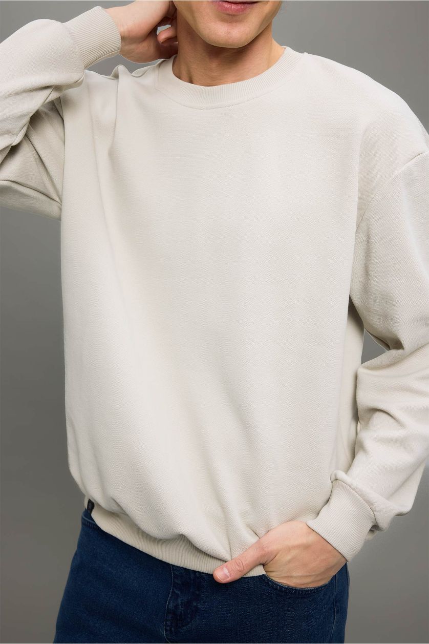 Erkek Taş Boxy Fit Bisiklet Yaka Basic Düz Pike Sweatshirt