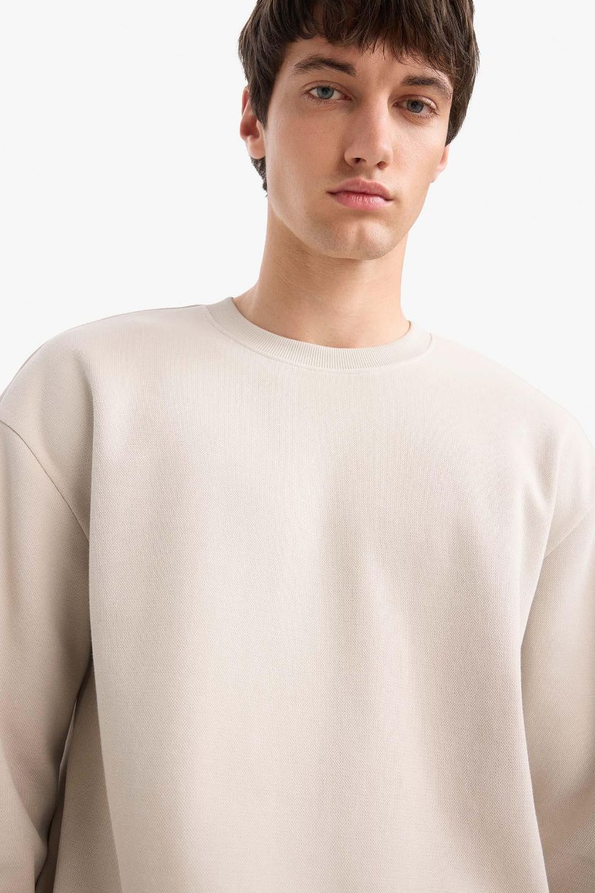 Erkek Taş Boxy Fit Bisiklet Yaka Basic Düz Pike Sweatshirt
