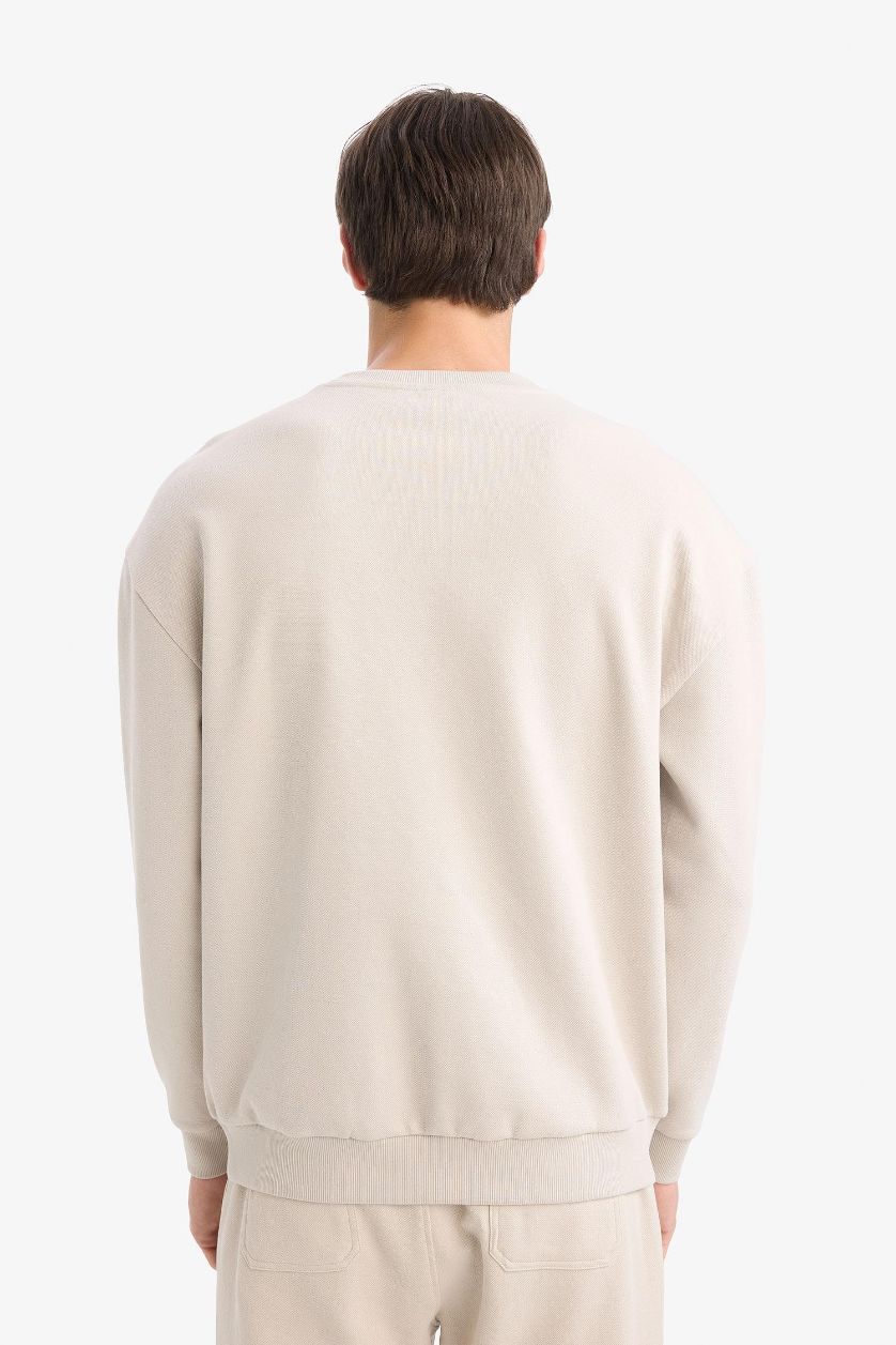 Erkek Taş Boxy Fit Bisiklet Yaka Basic Düz Pike Sweatshirt