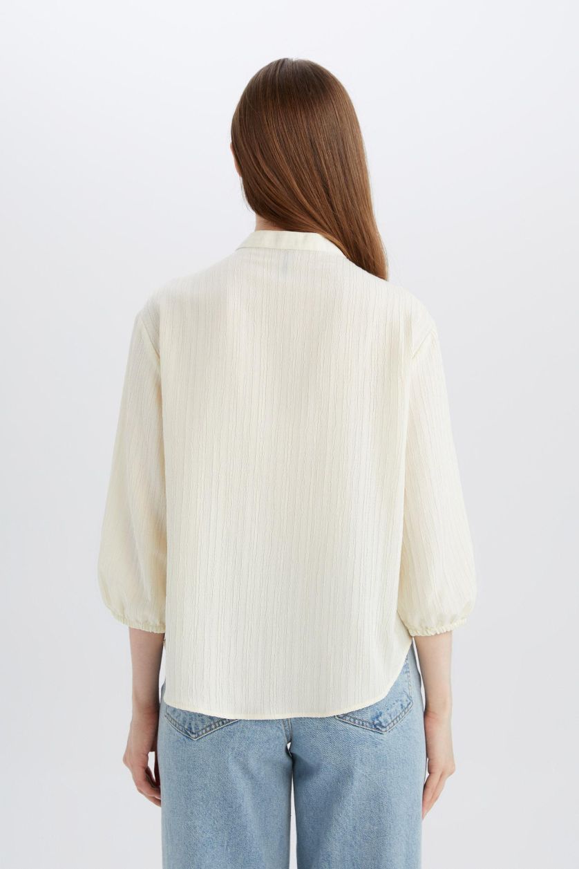 Woman Ecru Regular Fit Crew Neck Long Sleeve Blouse