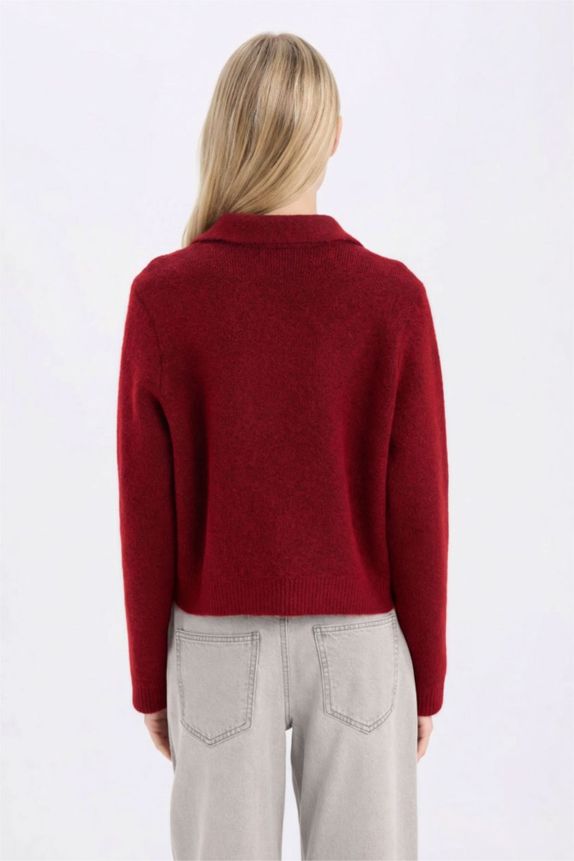 FEMME Bordeaux Pull Cardigan basique en tricot à col polo et boutons Coupe régulière