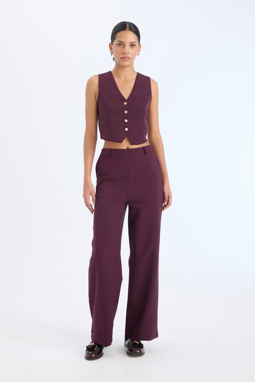 نساء خمري جيلي بليزر قصة عادية برقبة V