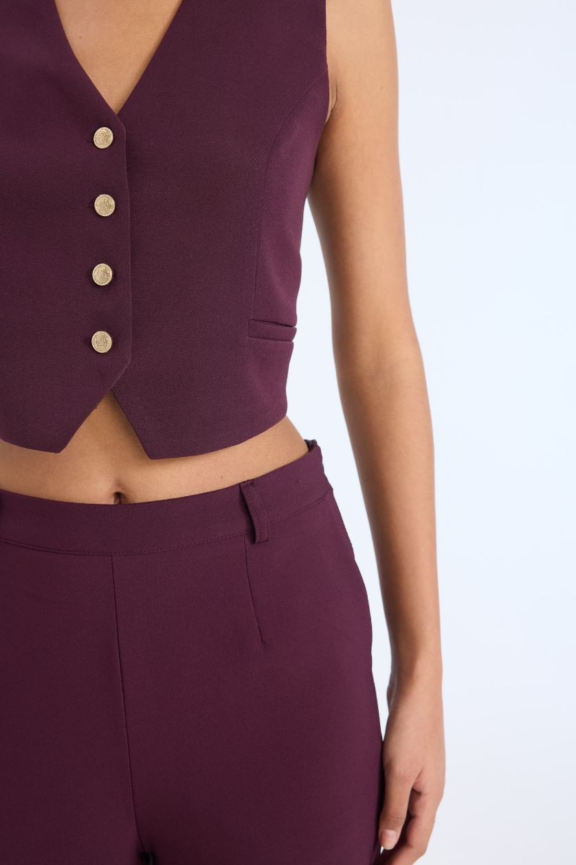 نساء خمري جيلي بليزر قصة عادية برقبة V