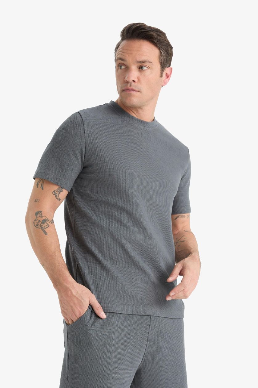 Erkek Antrasit Regular Fit Bisiklet Yaka Kısa Kollu Pamuklu Ağır Kumaş Tişört