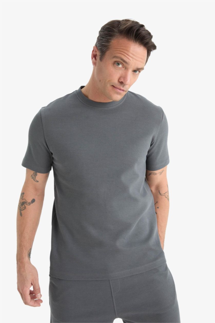 Erkek Antrasit Regular Fit Bisiklet Yaka Kısa Kollu Pamuklu Ağır Kumaş Tişört