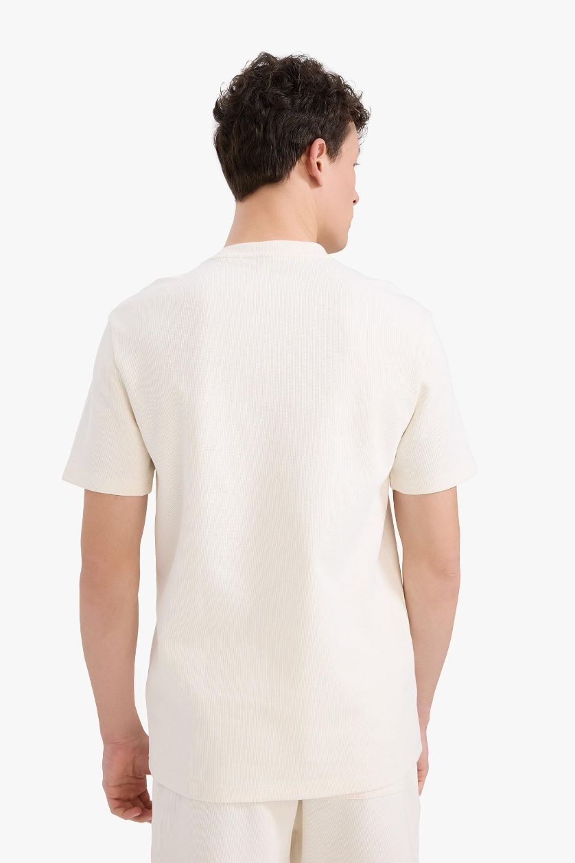 Erkek Kırık Beyaz Regular Fit Bisiklet Yaka Kısa Kollu Pamuklu Ağır Kumaş Tişört