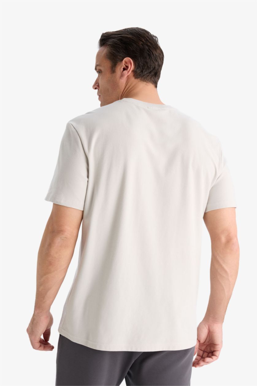 Erkek Taş %100 Pamuk Regular Fit Bisiklet Yaka Kısa Kollu Ağır Kumaş Tişört