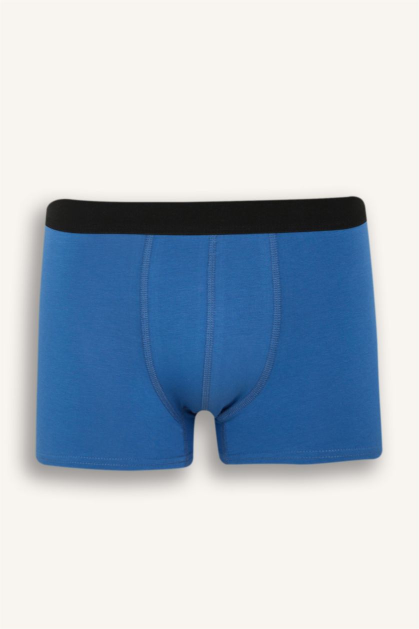 Erkek İndigo Regular Fit Hayvan Baskılı 3'lü Boxer