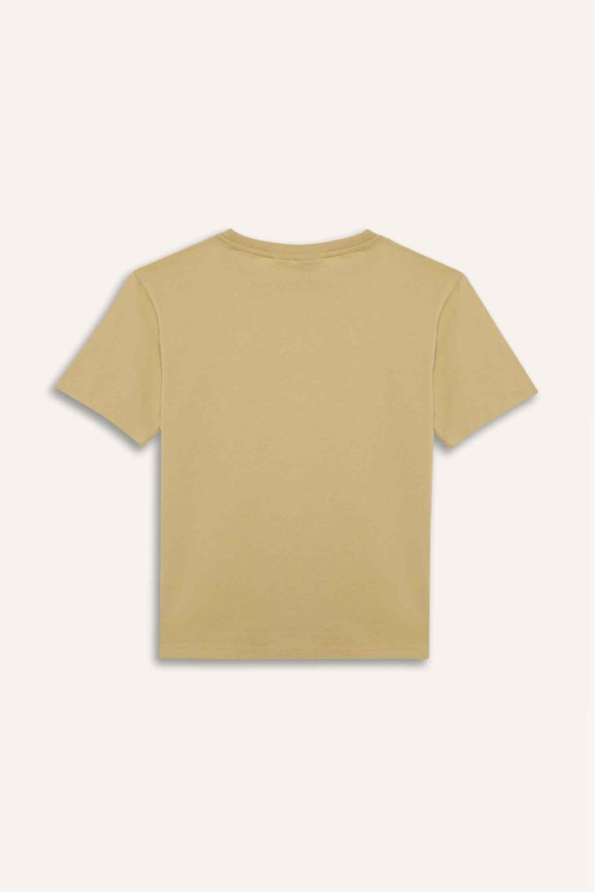 Boys & Teens Lıght Mustard Boy Avatar the Last Airbender Crew Neck T-Shirt