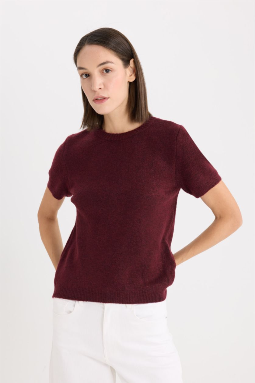 Kadın Bordo Regular Fit Bisiklet Yaka Basic Düz Triko Kısa Kollu Tişört  Kazak