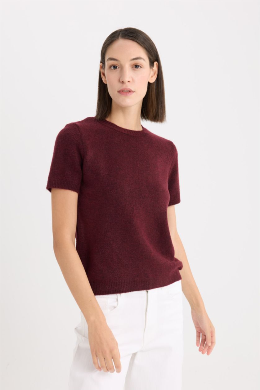 Kadın Bordo Regular Fit Bisiklet Yaka Basic Düz Triko Kısa Kollu Tişört  Kazak