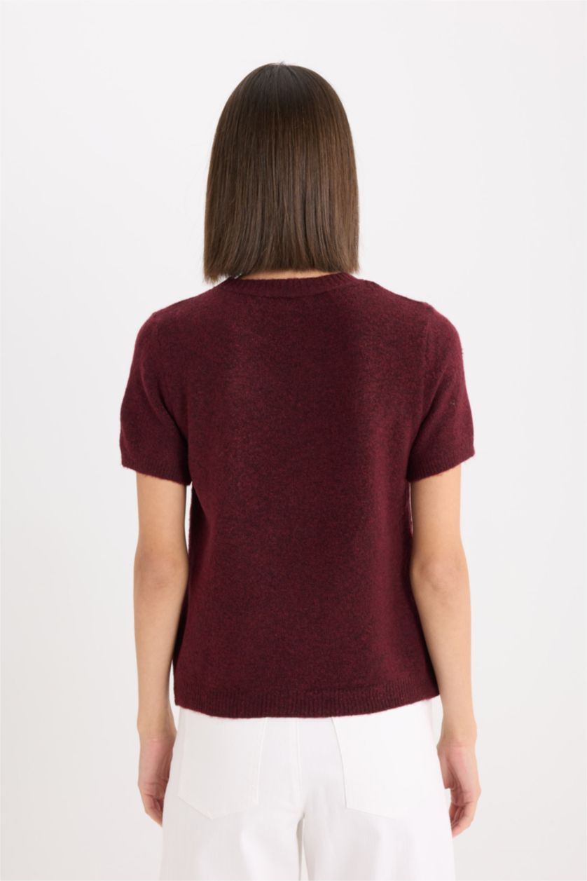 Kadın Bordo Regular Fit Bisiklet Yaka Basic Düz Triko Kısa Kollu Tişört  Kazak