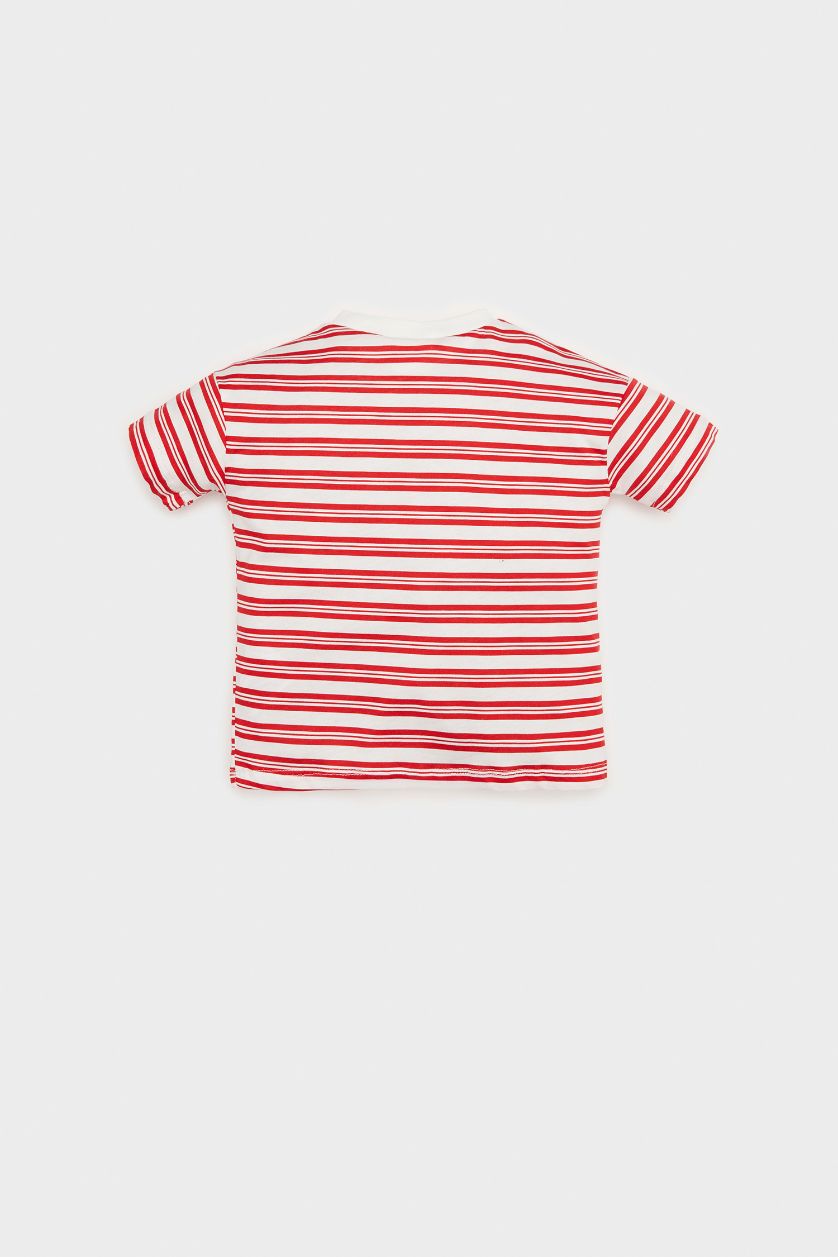 Erkek Bebek Ekru Bisiklet Yaka Çizgili Kısa Kollu Tişört Erkek Bebek