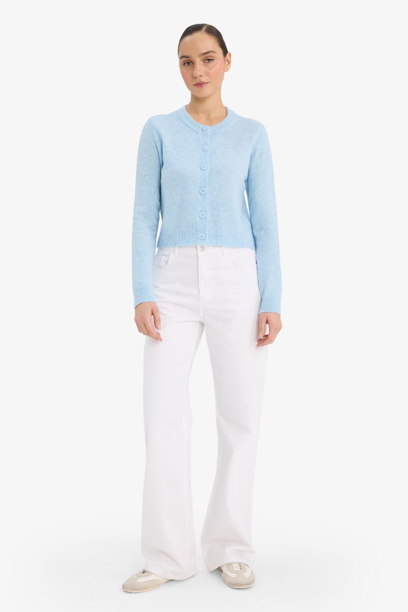 Woman Light Blue Regular Fit Crew Neck Cardigan