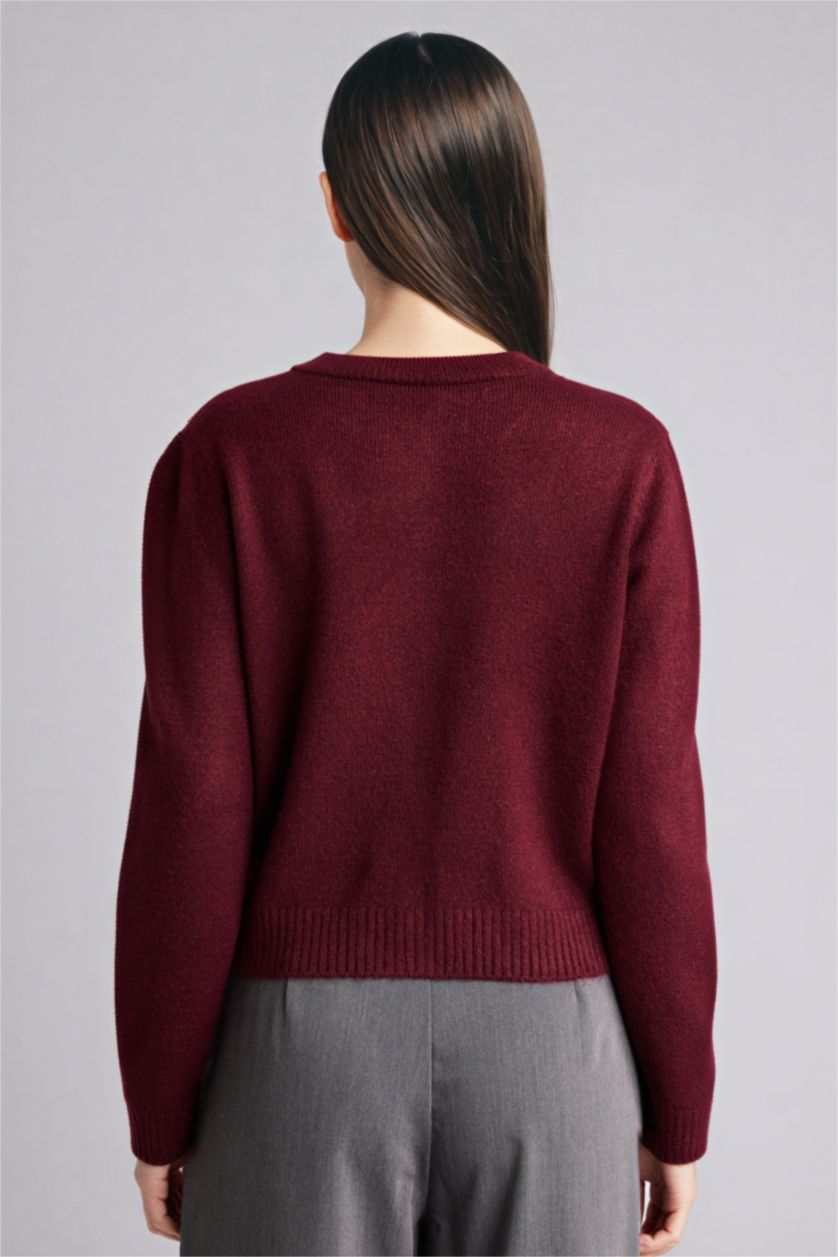 Woman Bordeaux Regular Fit Crew Neck Cardigan