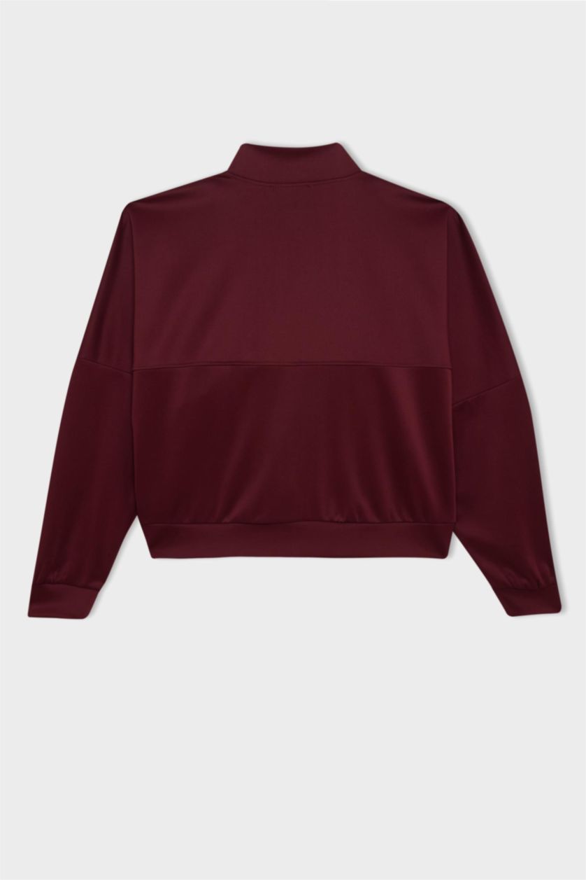 Woman Bordeaux Regular Fit College Collar Zipper Basic Bomber Jacket