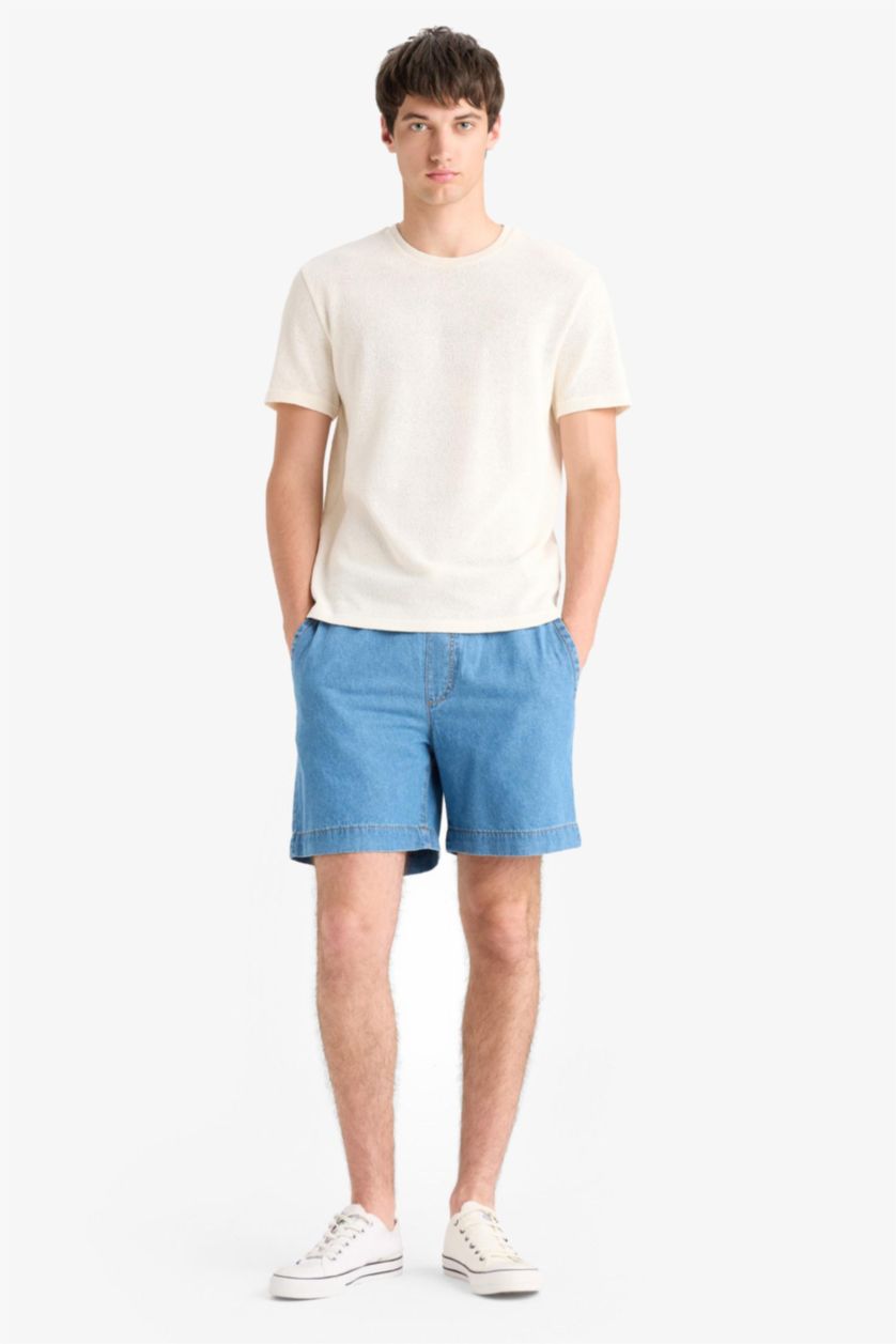 Erkek Kırık Beyaz Regular Fit Bisiklet Yaka Kısa Kollu Triko Görünümlü Tişört