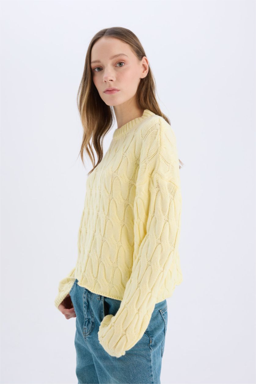 Women Yellow Regular Fit Pullover