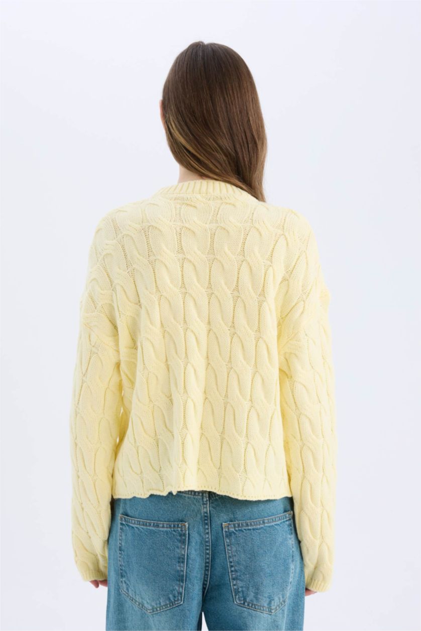 Women Yellow Regular Fit Pullover