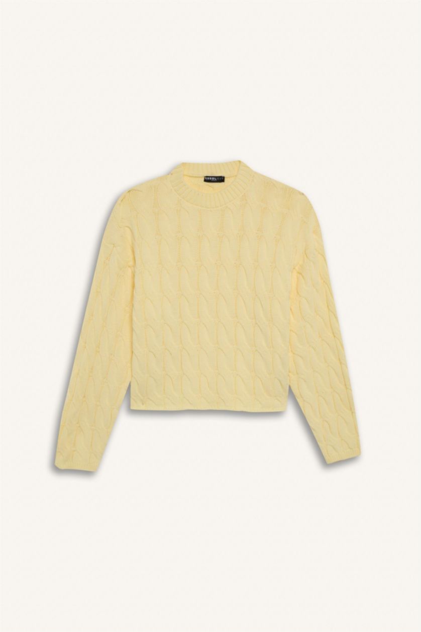 Women Yellow Regular Fit Pullover