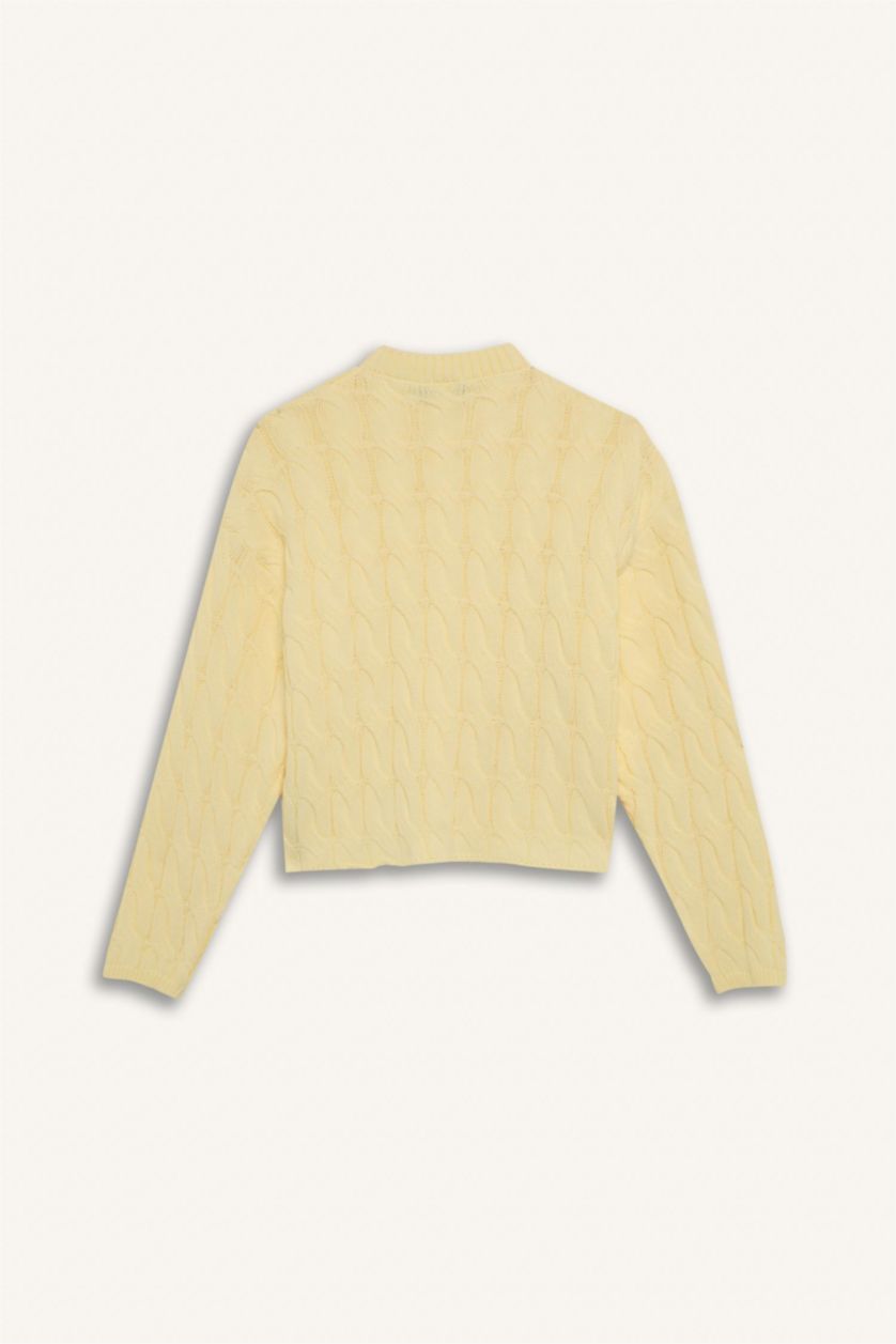 Women Yellow Regular Fit Pullover