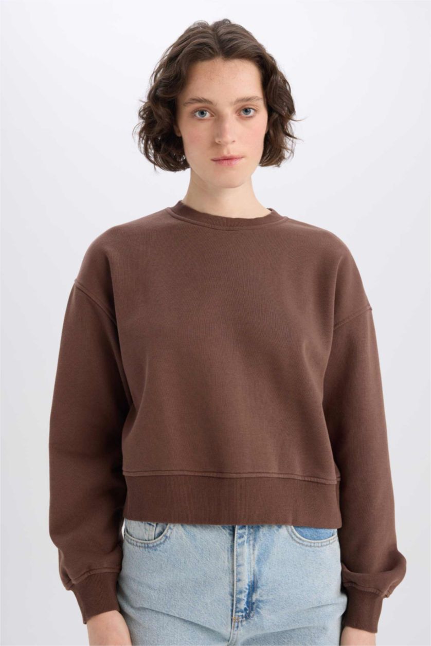 Woman Brown Boxy Fit Basic Sweatshirt