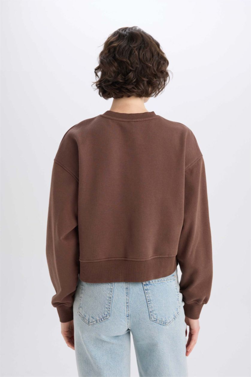 Woman Brown Boxy Fit Basic Sweatshirt