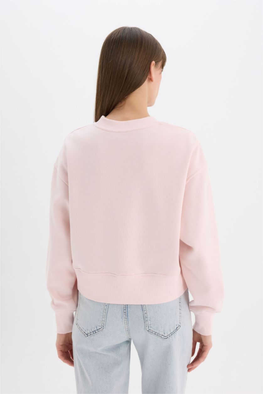 FEMME Rose Clair Sweatshirt Basique à col rond et Coupe Boxy