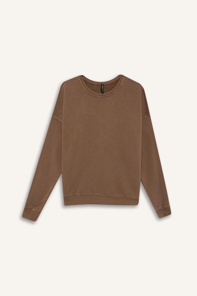 WOMAN Brown Oversize Crew Neck Basic Sweatshirt