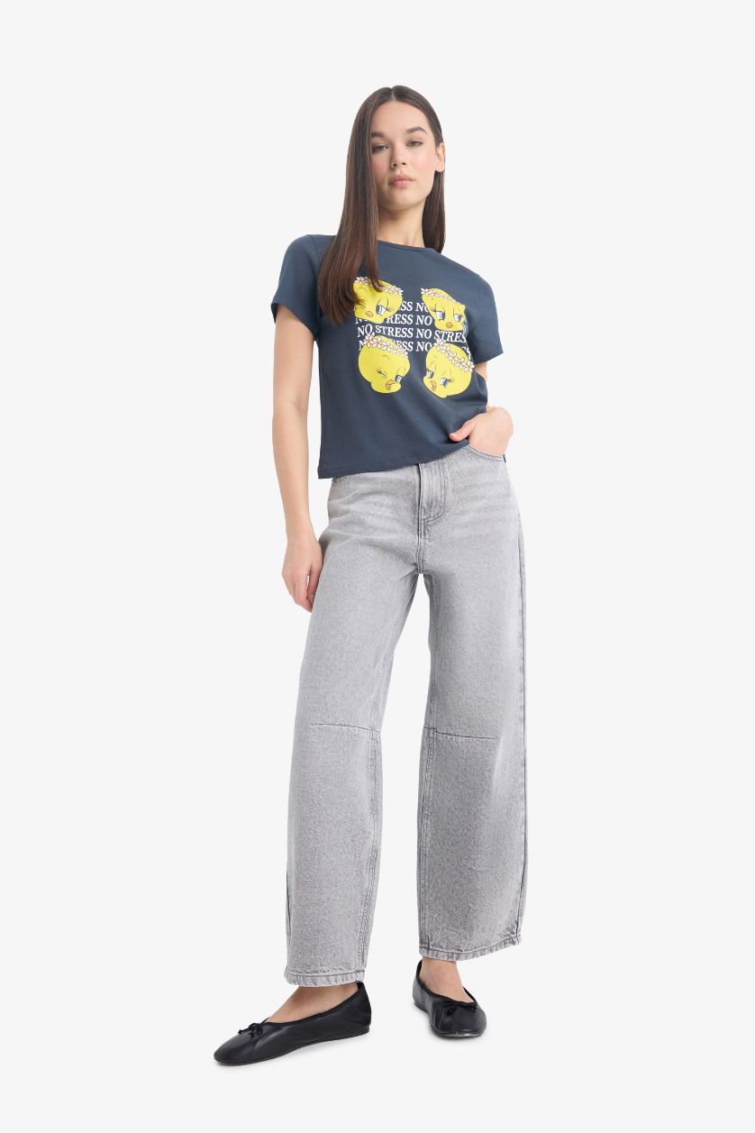 نساء أنثرا تيشيرت نص ردن مطبوع قصة عادية من لوني تونز