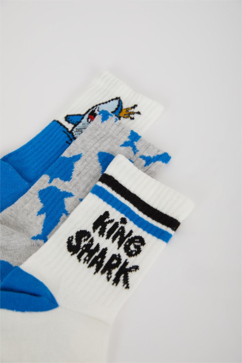 Erkek Çocuk - Genç Erkek Beyaz Erkek Çocuk 3'lü Pamuklu Uzun Çorap