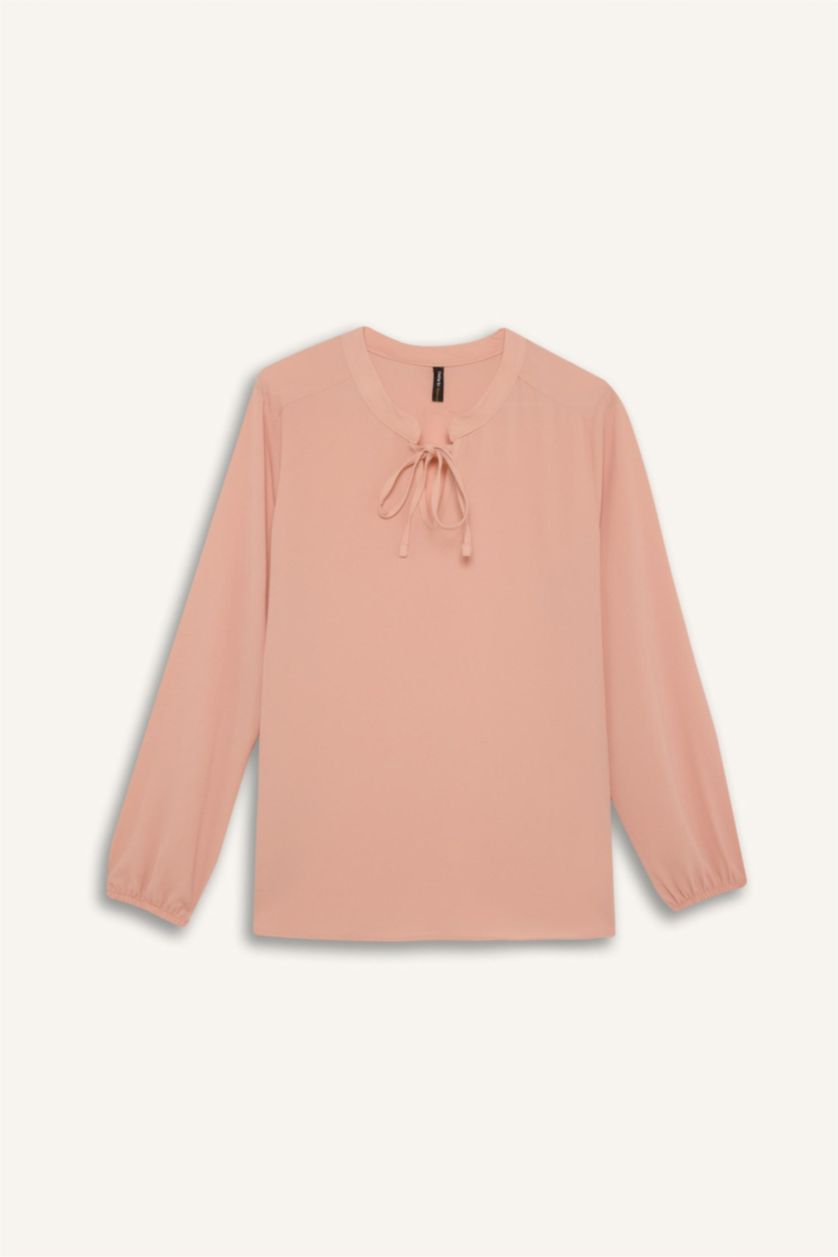 WOMAN Rose Crochet Neck Basic Long Sleeve Blouse